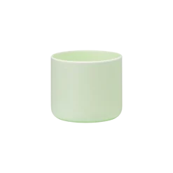 Mint - 24 oz