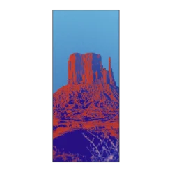 Wild Wild West